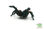 Preview: Bullyland Vogelspinne 68453